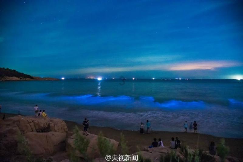植物大战僵尸19